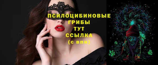 прущий лед Переславль-Залесский
