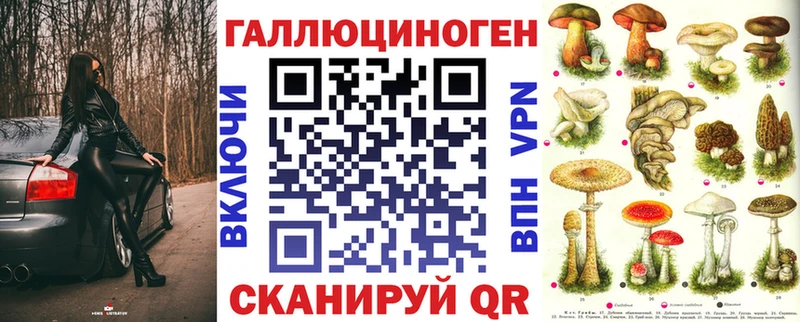 Купить где  Скопин  Галлюциногенные грибы Psilocybine cubensis 